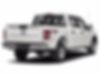 1FTEW1CP6JKD08041-2018-ford-f-150-1