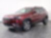 1C4PJMDX8KD191091-2019-jeep-cherokee-1