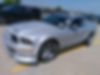 1ZVHT82H295102831-2009-ford-mustang-0