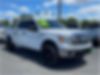 1FTFW1ET9DKF53578-2013-ford-f-150-0