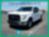 1FTEW1CP5GKD24272-2016-ford-f-150-0