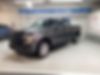 1FTEX1EP1FFD05428-2015-ford-f-150-0