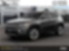 3C4NJDCB1MT541770-2021-jeep-compass-0