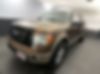 1FTFW1ET7BKD81743-2011-ford-f-150-0