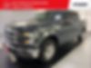 1FTEW1CP4FKE02538-2015-ford-f-150-0