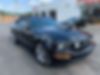 1ZVHT85H585103921-2008-ford-mustang-0