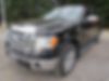 1FTFW1ET9BFD13078-2011-ford-f150-0