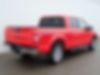 1FTEW1EP1KFC31165-2019-ford-f-150-2