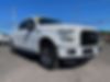 1FTEW1EP8GFA10055-2016-ford-f-150-0