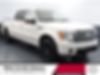 1FTFW1ET9BFD10259-2011-ford-f-150-0