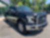 1FTEX1EP5FKD93357-2015-ford-f150-0
