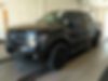 1FTFW1ET8DKD44395-2013-ford-f-150-0
