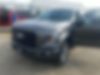 1FTEW1EP2GKD20385-2016-ford-f-150-0
