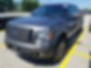 1FTFW1ET1BFB93843-2011-ford-f-150-0