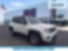 ZACNJBD10KPK15437-2019-jeep-renegade-0