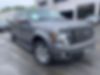 1FTFW1CT5CFB07051-2012-ford-f-150-0