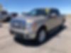 1FTFW1ET9BFD17423-2011-ford-f-150-0