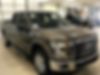 1FTEX1CPXFFA99089-2015-ford-f-150-0