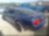 1ZVFT80N675311731-2007-ford-mustang-2