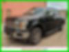 1FTEW1EP1KFA85768-2019-ford-f-150-0