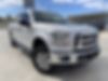 1FTEW1EP1FKE00386-2015-ford-f-150-0