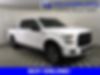 1FTEW1EP5GKF04462-2016-ford-f-150-0