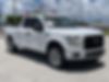 1FTEX1EP3HFC81099-2017-ford-f-150-0
