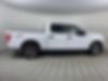 1FTEW1CP8KKD25005-2019-ford-f-150-0