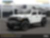 1C4HJXDG3MW741388-2021-jeep-wrangler-unlimited
