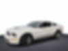 1ZVHT88S485160523-2008-ford-mustang-1