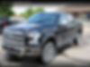 1FTEW1EF7GFD06224-2016-ford-f-150-2