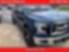 1FTFW1EFXFKD04154-2015-ford-f-150-0