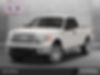 1FTFX1CFXDKD51598-2013-ford-f-150-0