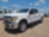 1FT7W2B68HEB13686-2017-ford-f-250-0