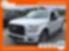 1FTEW1CP9GKF16374-2016-ford-f-150-0