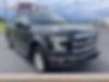 1FTEW1EP5GFB61323-2016-ford-f-150-0