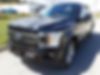 1FTEW1EP7KFA71079-2019-ford-f-150