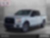 1FTEW1EP0HKC71446-2017-ford-f-150