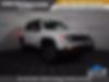 ZACNJBC1XKPK22669-2019-jeep-renegade