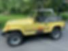 2J4FY39T3KJ147836-1989-jeep-islander-0