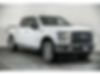 1FTEW1EP5HFB70069-2017-ford-f-150-0