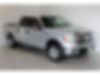1FTEW1CM9DFD41599-2013-ford-f-150-0