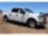 1FTEW1C81FKD49791-2015-ford-f-150-0
