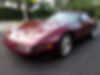 1G1YY33PXP5116804-1993-chevrolet-corvette-2