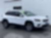 1C4PJMDX8LD501399-2020-jeep-cherokee-0