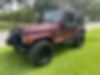 1J4FA59S51P314755-2001-jeep-wrangler-2