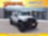 1J4GA39199L746204-2009-jeep-wrangler-0