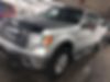 1FTFW1ET9DFB86268-2013-ford-f-150-0