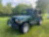 1J4FA59S1YP739304-2000-jeep-wrangler