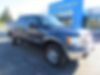 1FTFW1ET9DFB85010-2013-ford-f-150-0